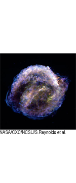 picture of kepler supernova